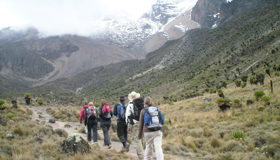 Mount Kenya Hiking